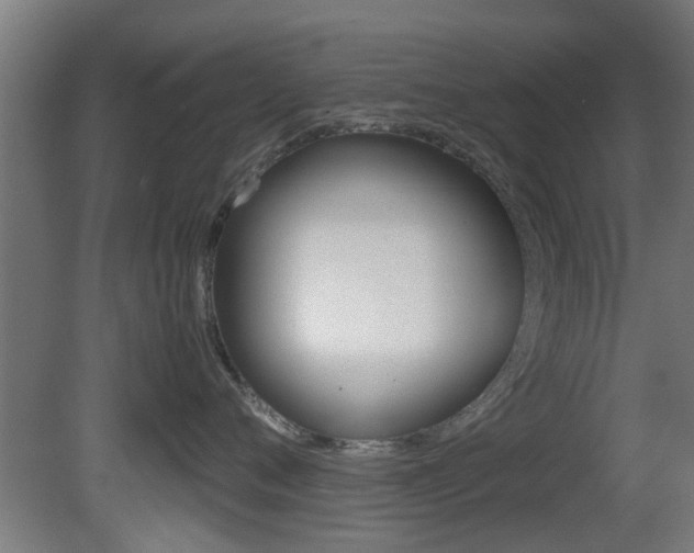 X0000081390720200701111207