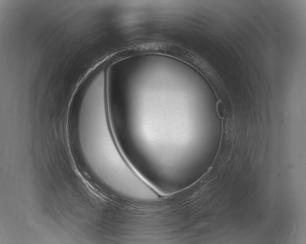 X0000081390722200701111206