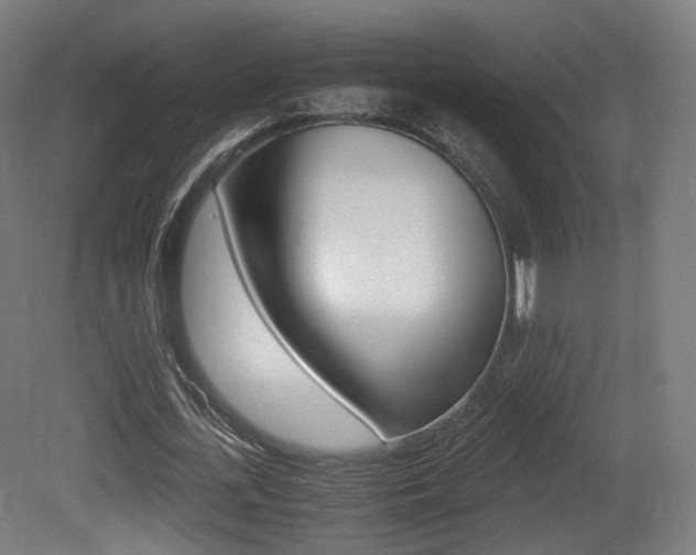 X0000081390723200701111206
