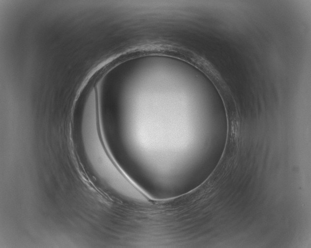 X0000081390724200701111206