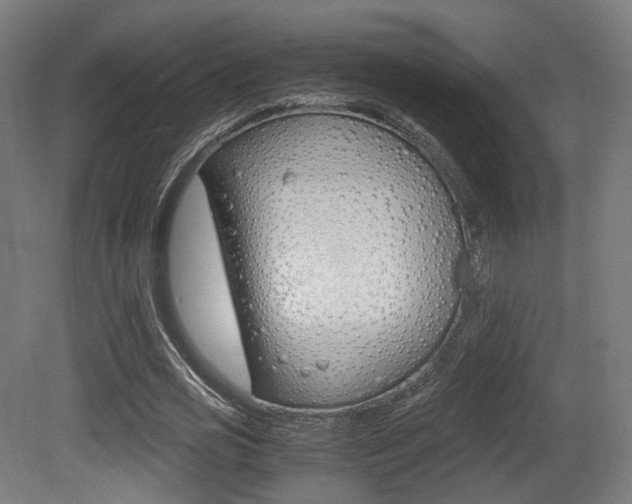 X0000081390725200701111206