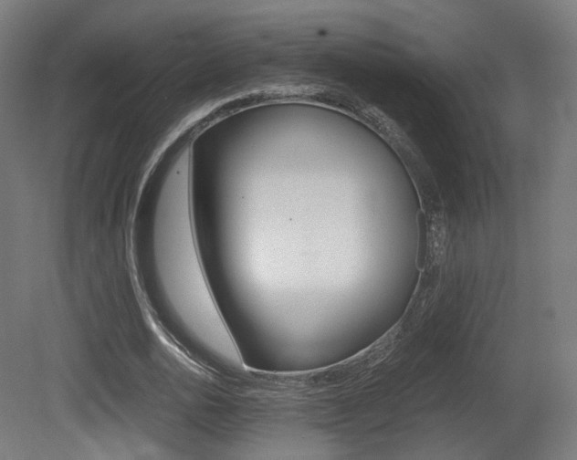 X0000081390726200701111206