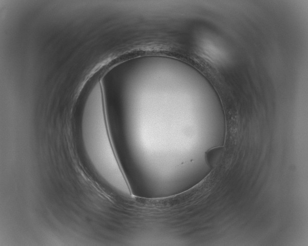 X0000081390727200701111206