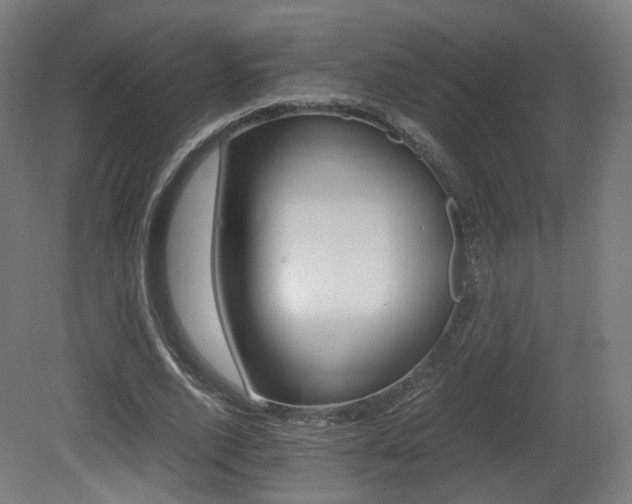 X0000081390728200701111206