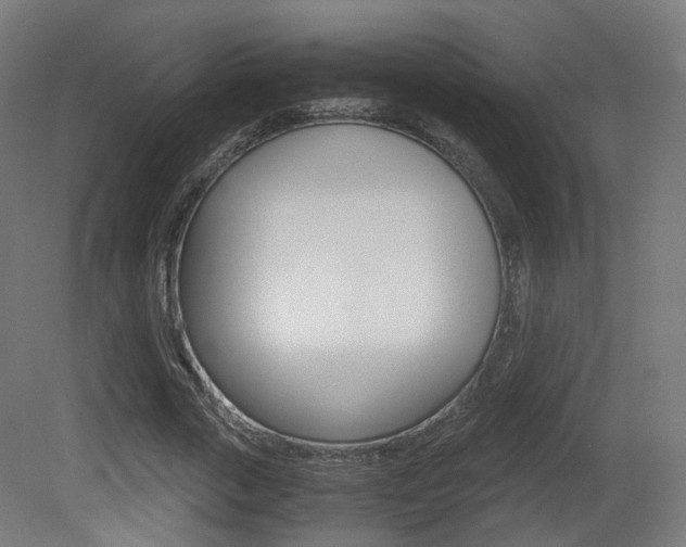 X0000081390729200701111206
