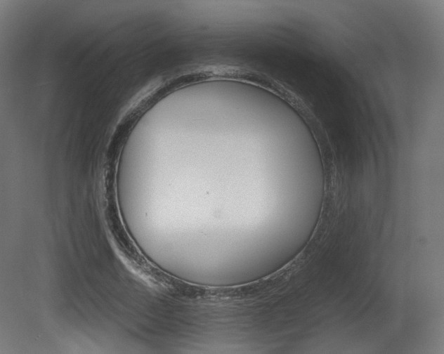 X0000081390730200701111206