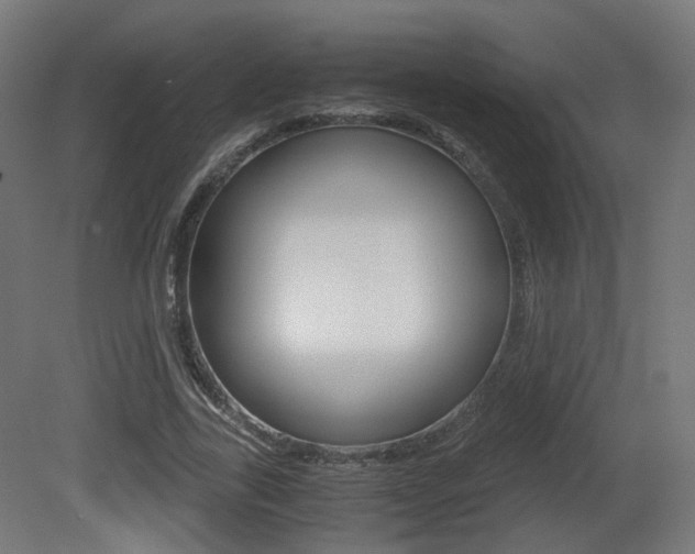 X0000081390731200701111206