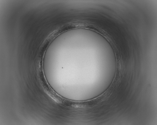 X0000081390733200701111206