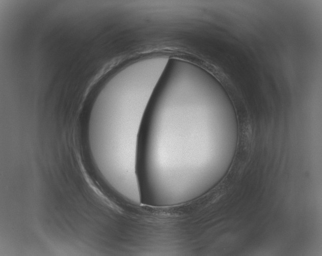 X0000081390734200701111206