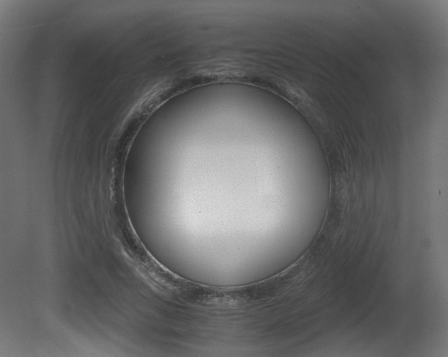 X0000081390735200701111206