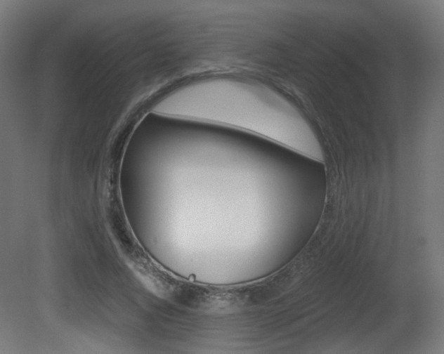 X0000081390736200701111206
