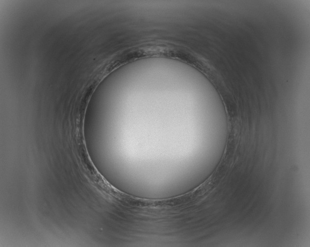 X0000081390737200701111206