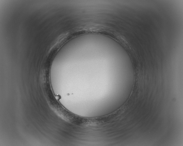 X0000081390738200701111206
