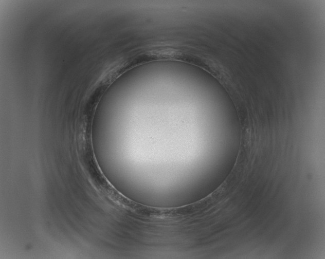 X0000081390739200701111206