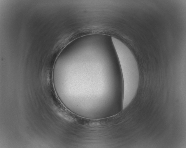 X0000081390740200701111206