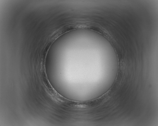 X0000081390741200701111206