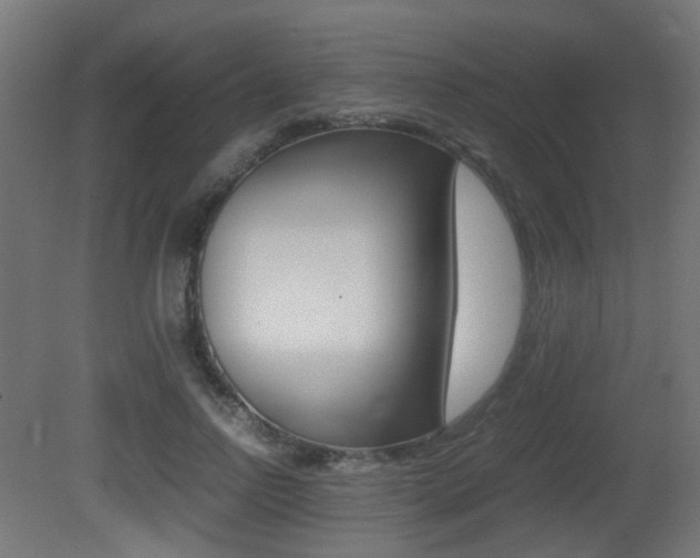 X0000081390742200701111206
