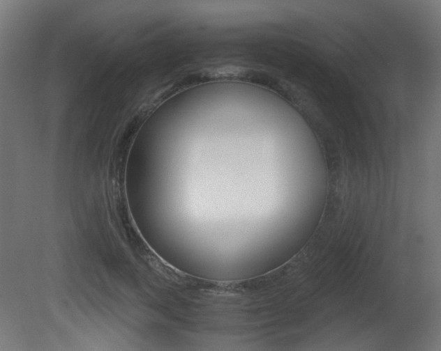 X0000081390743200701111206