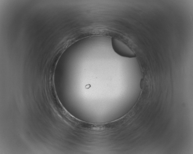 X0000081390744200701111206