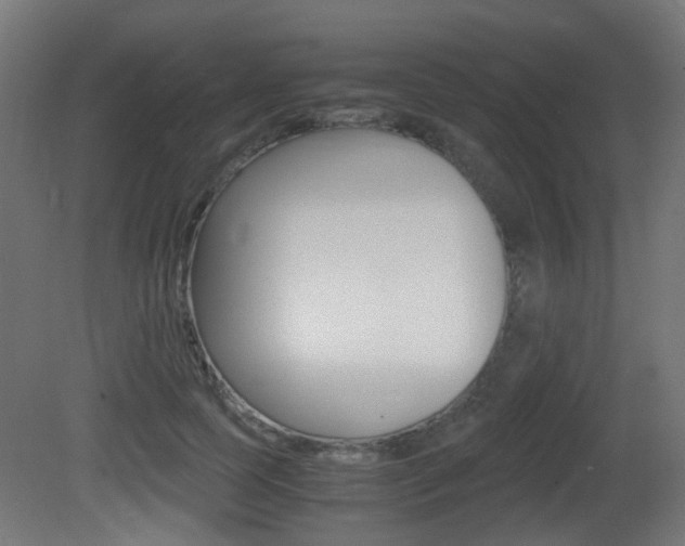X0000081390745200701111206