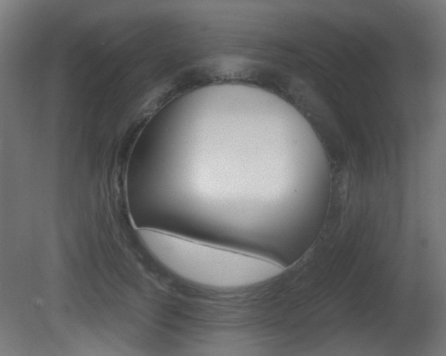 X0000081390746200701111206