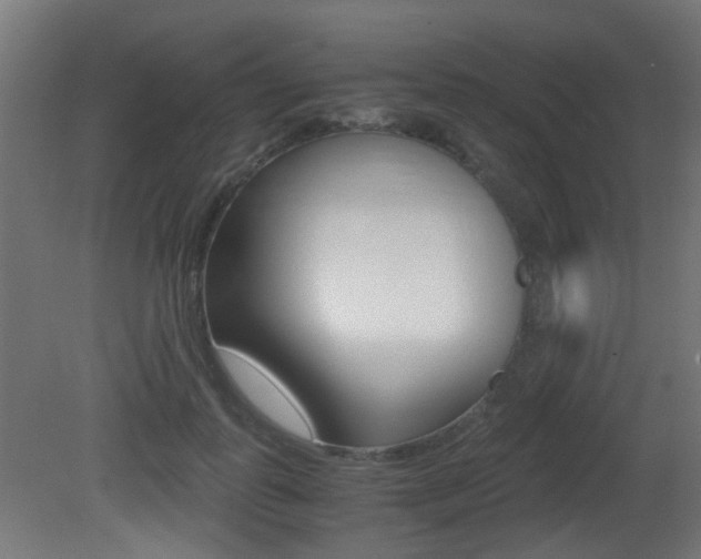 X0000081390747200701111206