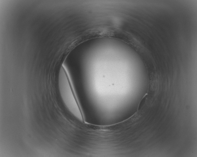 X0000081390748200701111206
