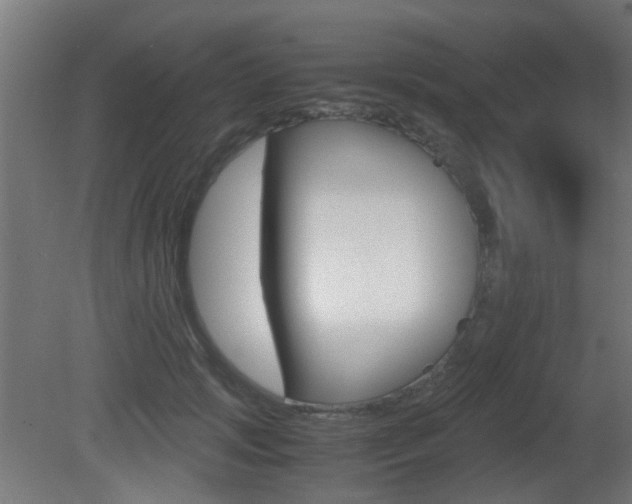 X0000081390749200701111206