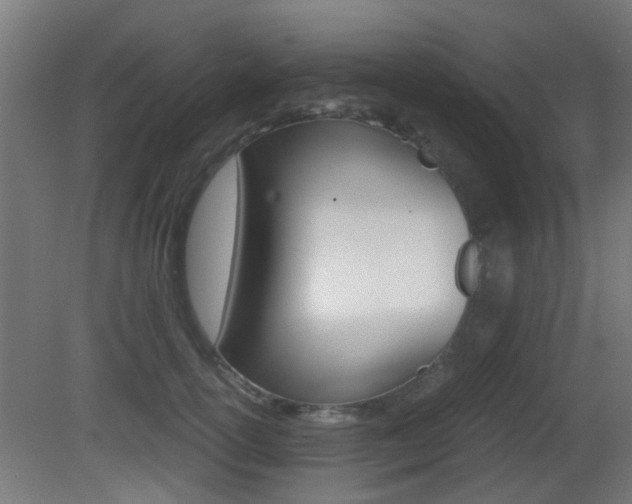 X0000081390754200701111206