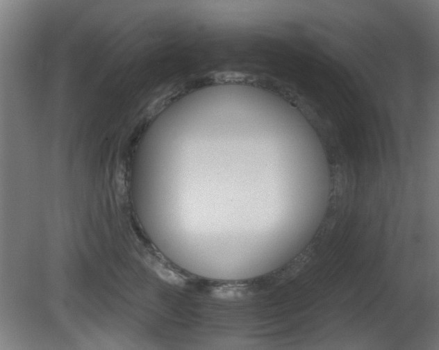 X0000081390761200701111206