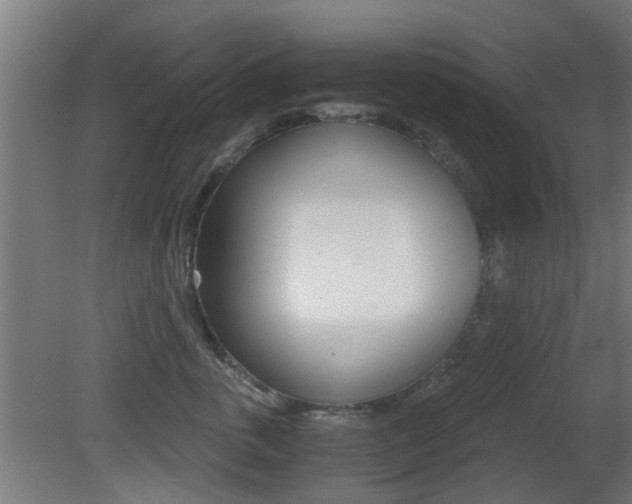 X0000081390763200701111206