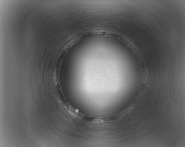 X0000081390764200701111206