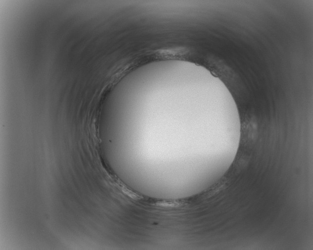 X0000081390765200701111206