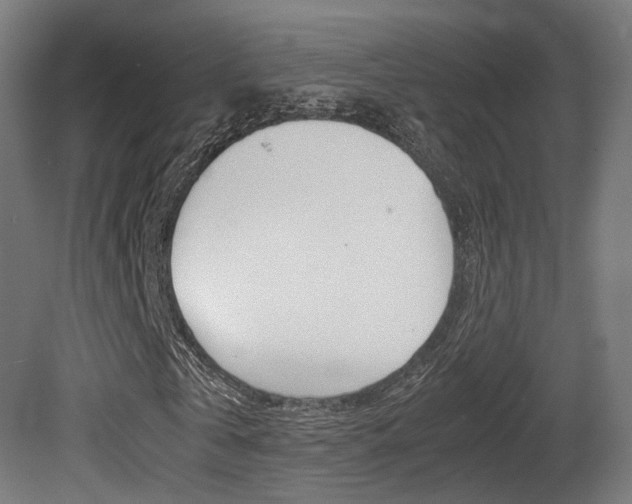 X0000081390769200701111206