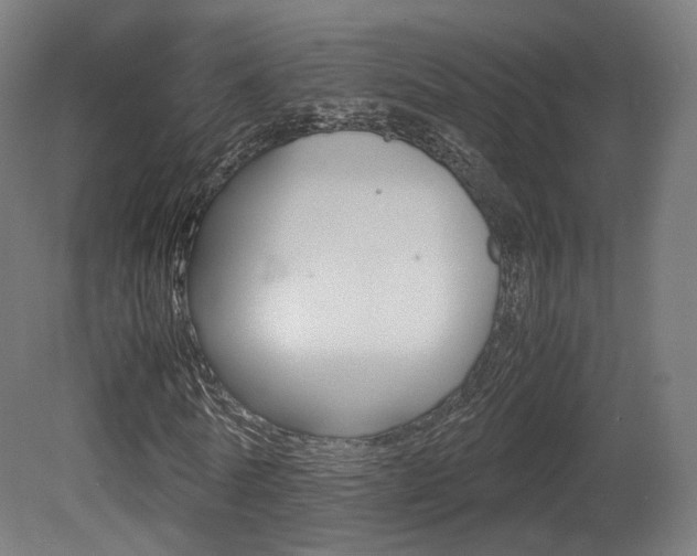 X0000081390770200701111206