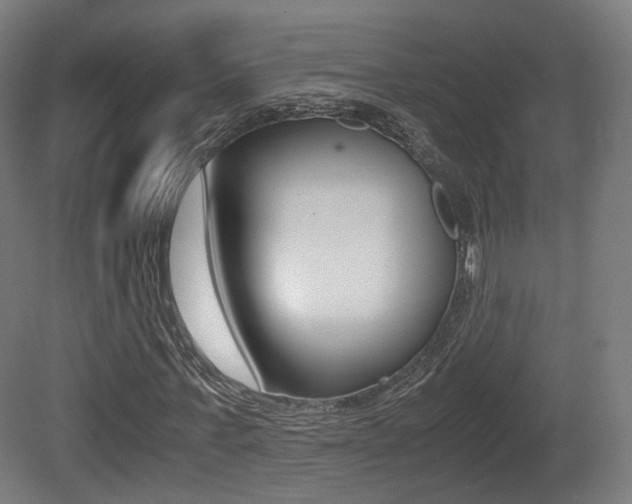 X0000081390771200701111206