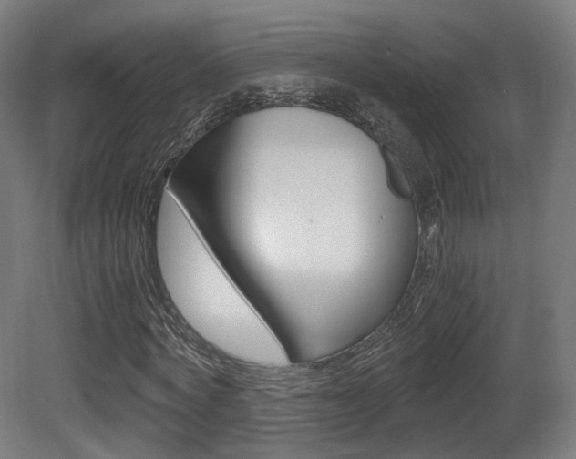X0000081390772200701111206