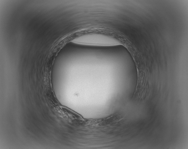 X0000081390773200701111206