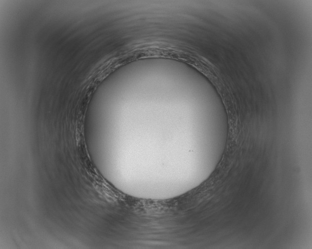 X0000081390774200701111206