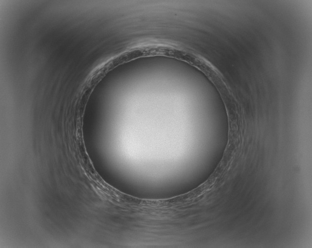 X0000081390775200701111206