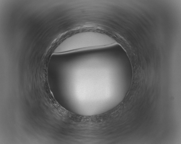 X0000081390776200701111206