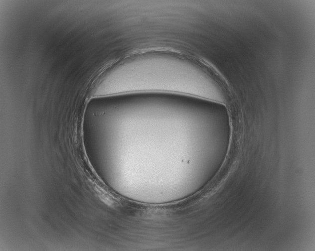 X0000081390777200701111206