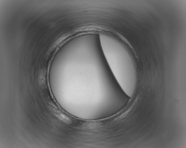X0000081390778200701111206