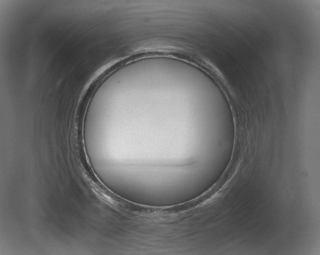 X0000081390779200701111206