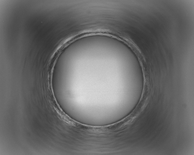 X0000081390781200701111206