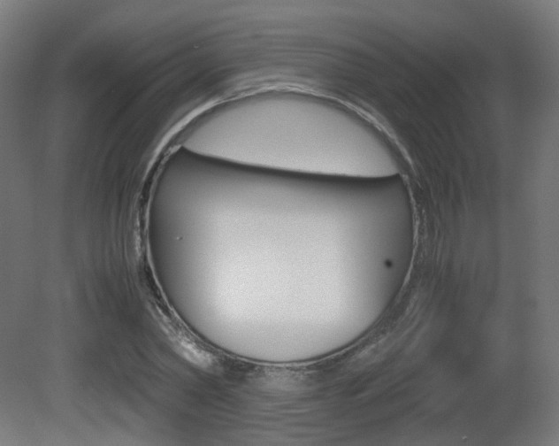 X0000081390782200701111205