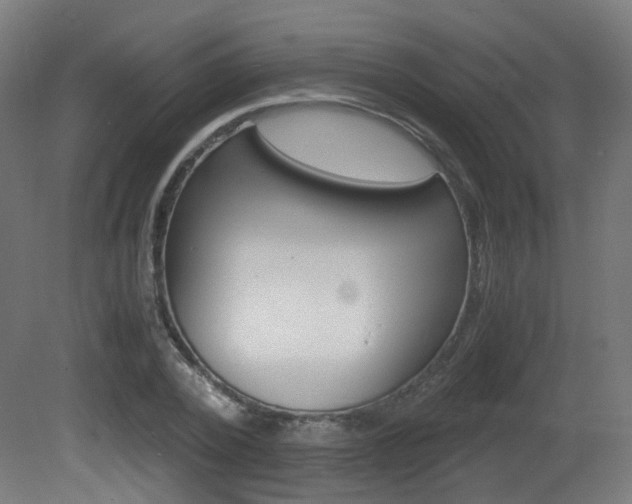 X0000081390784200701111205