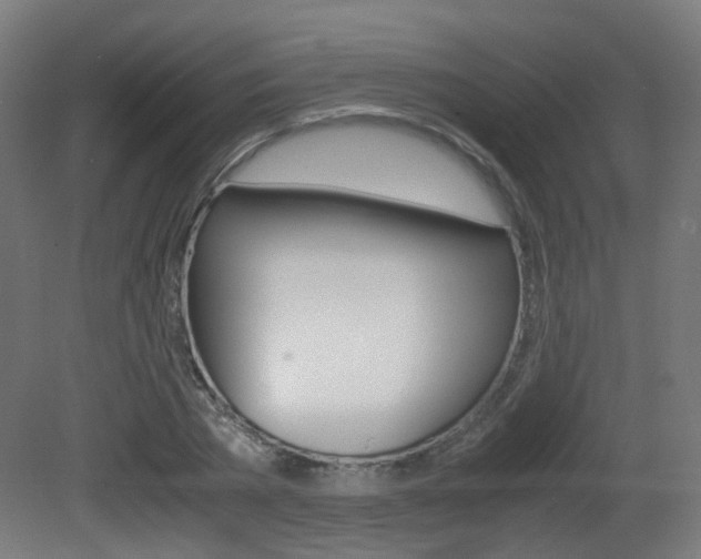 X0000081390785200701111205