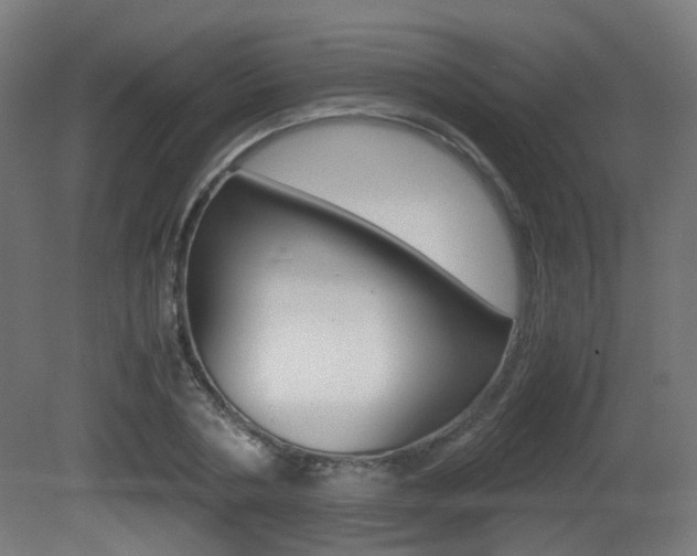X0000081390786200701111205