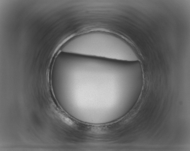 X0000081390790200701111205